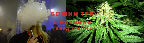 ПСИЛОЦИБИНОВЫЕ ГРИБЫ Белоозёрский