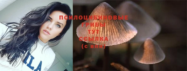 ПСИЛОЦИБИНОВЫЕ ГРИБЫ Белоозёрский